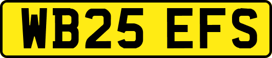 WB25EFS