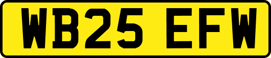WB25EFW
