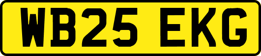 WB25EKG