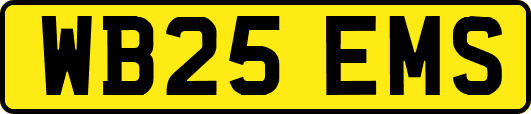WB25EMS