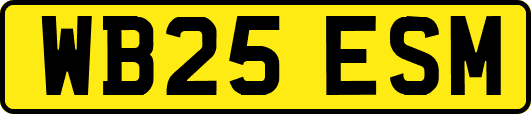 WB25ESM