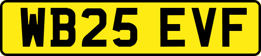 WB25EVF