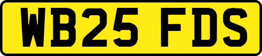 WB25FDS