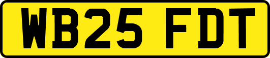 WB25FDT