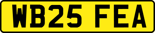 WB25FEA