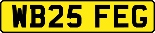 WB25FEG