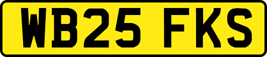 WB25FKS