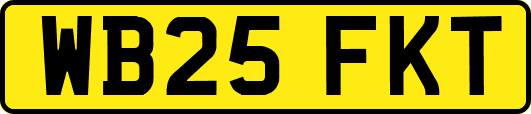 WB25FKT