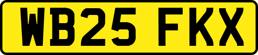 WB25FKX