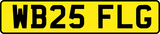 WB25FLG