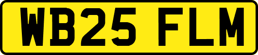 WB25FLM