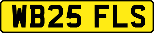 WB25FLS