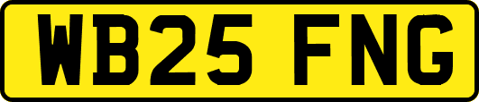 WB25FNG