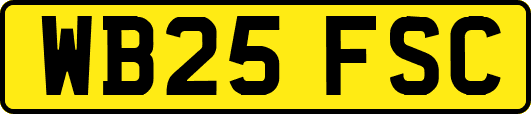 WB25FSC