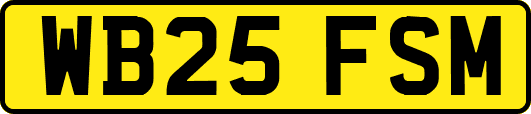 WB25FSM