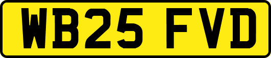 WB25FVD