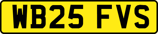 WB25FVS