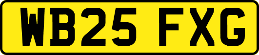 WB25FXG