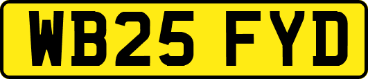 WB25FYD
