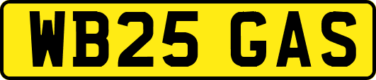 WB25GAS