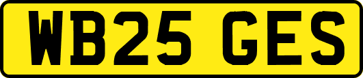 WB25GES