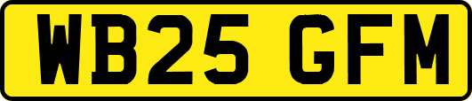 WB25GFM