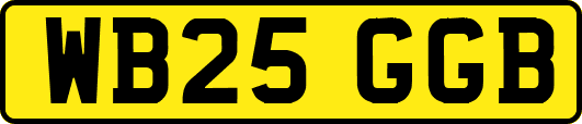 WB25GGB