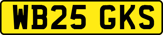 WB25GKS