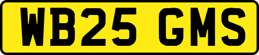 WB25GMS