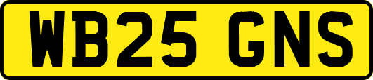 WB25GNS