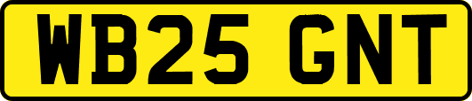 WB25GNT