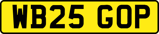 WB25GOP