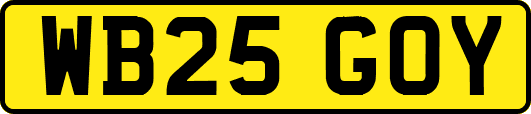 WB25GOY