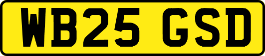 WB25GSD