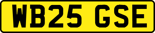 WB25GSE