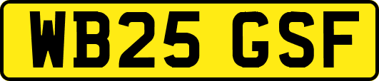 WB25GSF