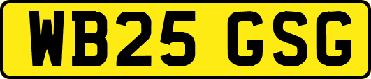 WB25GSG