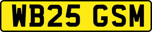 WB25GSM