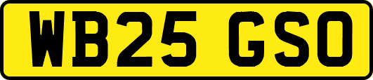 WB25GSO
