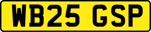 WB25GSP
