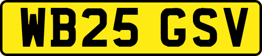 WB25GSV