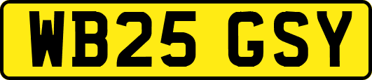 WB25GSY