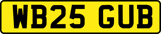 WB25GUB