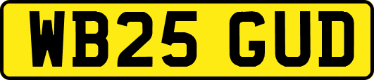 WB25GUD