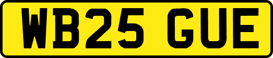 WB25GUE