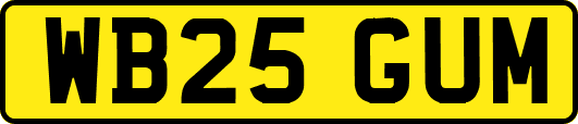WB25GUM