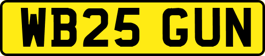 WB25GUN