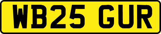 WB25GUR