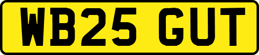 WB25GUT