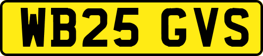 WB25GVS